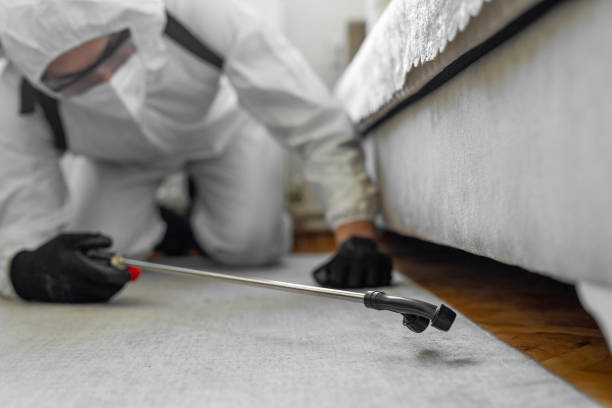 Professional Bed Bug Control technician working in Deer Park, TX